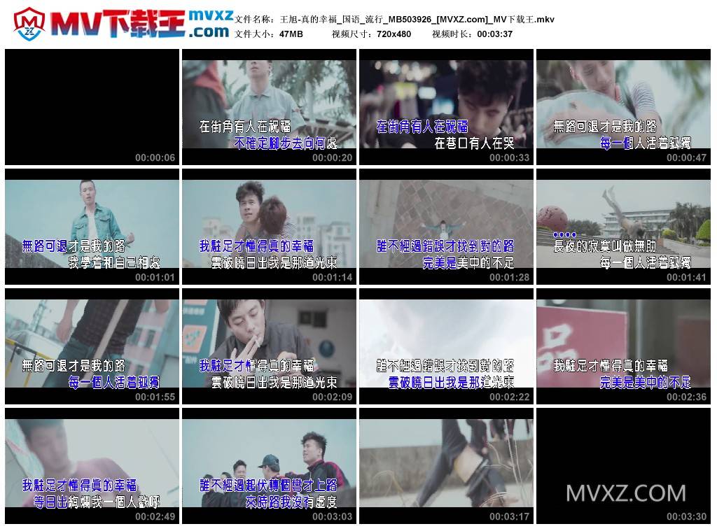 王旭-真的幸福_国语_流行_MB503926